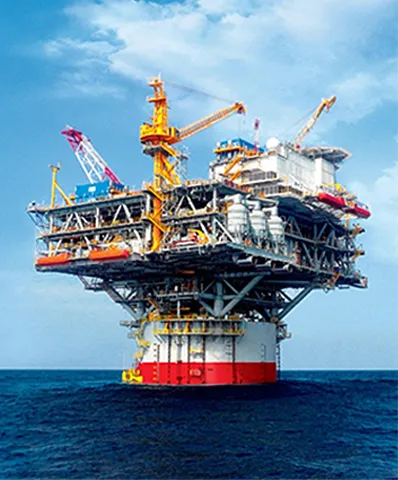 PAC&CMC for Oil Drilling
